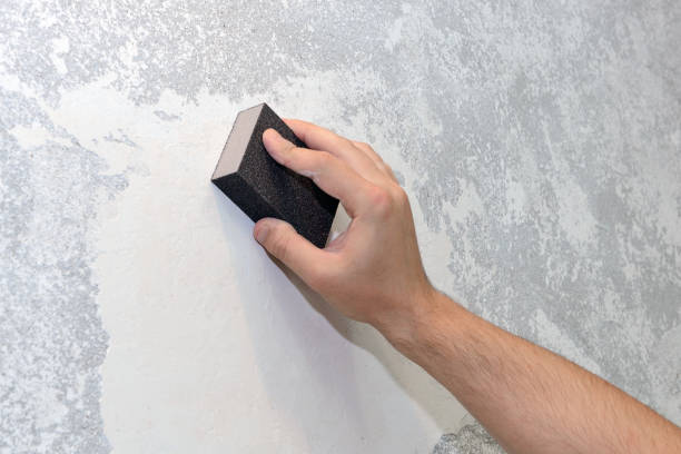 Best Industrial Mold Remediation  in Progreso, TX