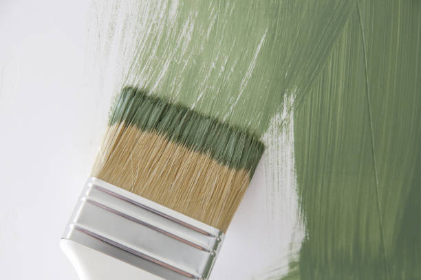 Best Mold Prevention Services  in Progreso, TX