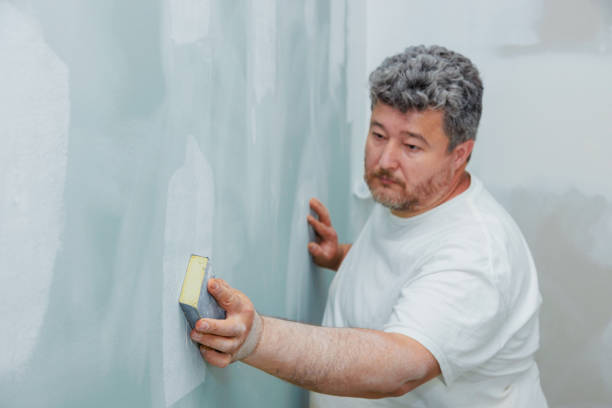 Best Emergency Mold Remediation  in Progreso, TX