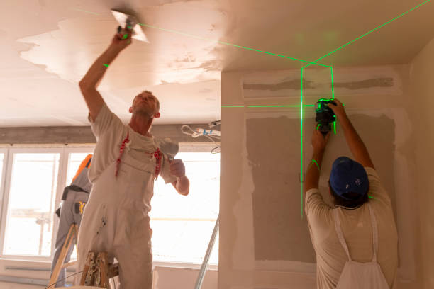 Best Black Mold Removal  in Progreso, TX