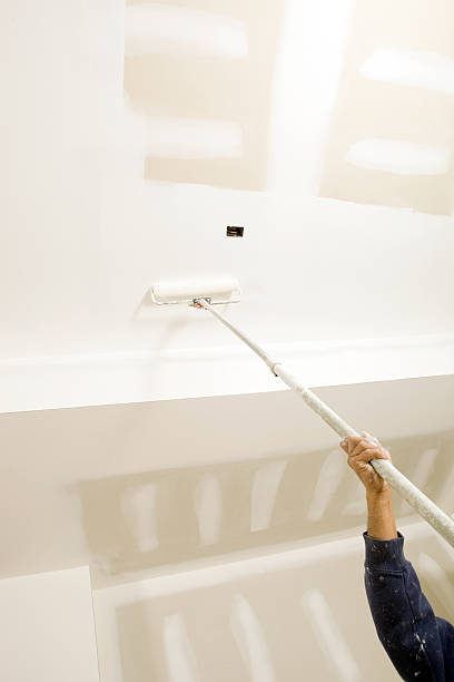 Trusted Progreso, TX Mold Removal Experts