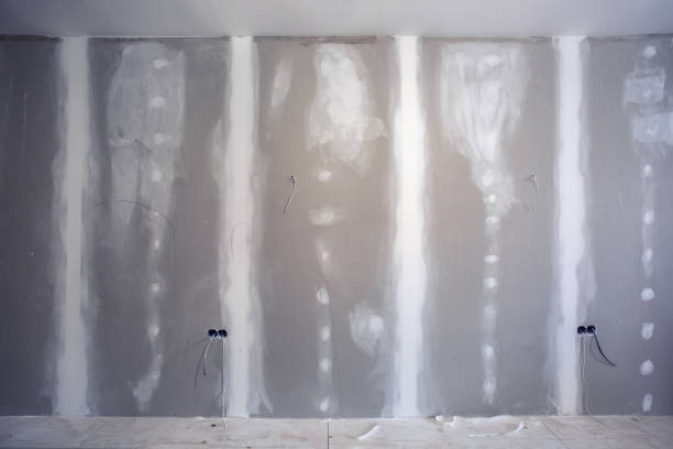 Best Environmental Consulting for Mold Prevention  in Progreso, TX